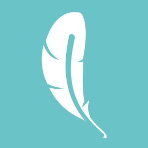 safetywing-logo